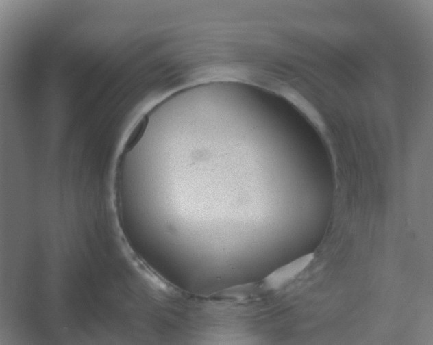 X0000054371104200508121533