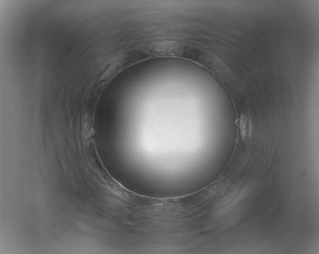 X0000054371107200508121533