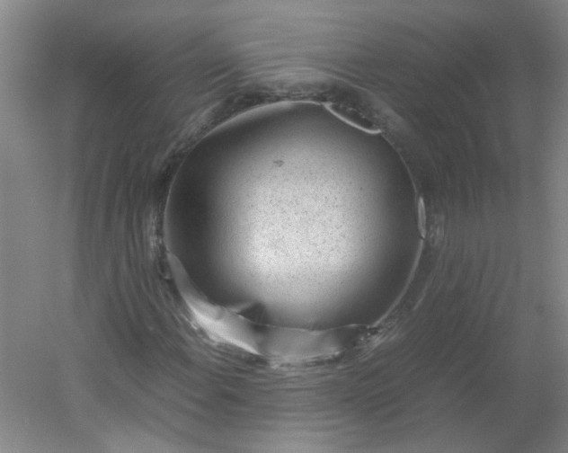 X0000054371108200508121533