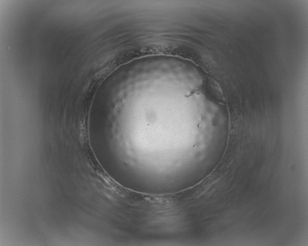 X0000054371109200508121533