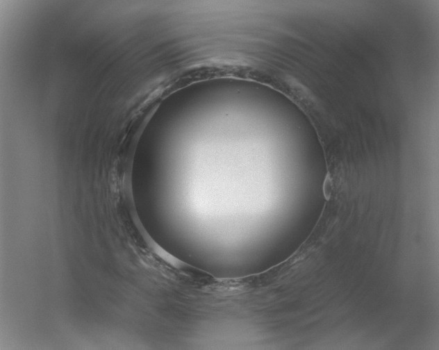 X0000054371110200508121533