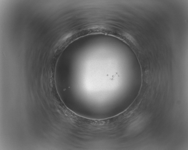 X0000054371111200508121533