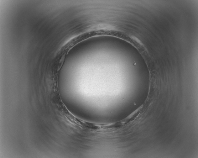 X0000054371112200508121533