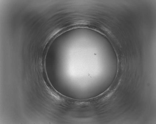 X0000054371113200508121533