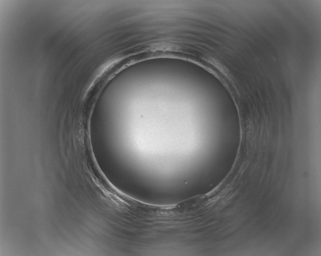 X0000054371115200508121533