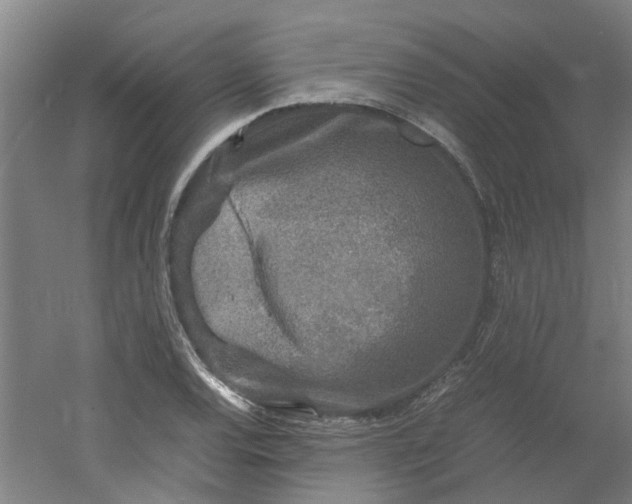 X0000054371120200508121533