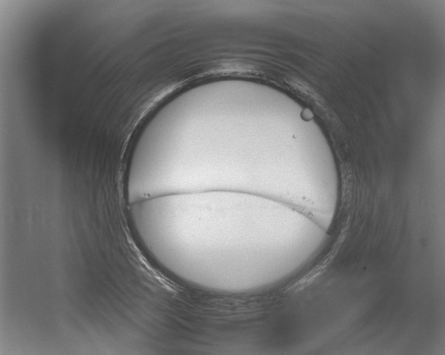 X0000054371121200508121533