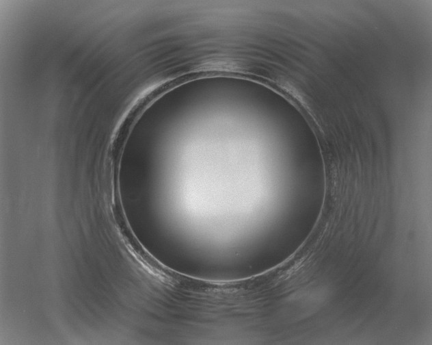 X0000054371123200508121533