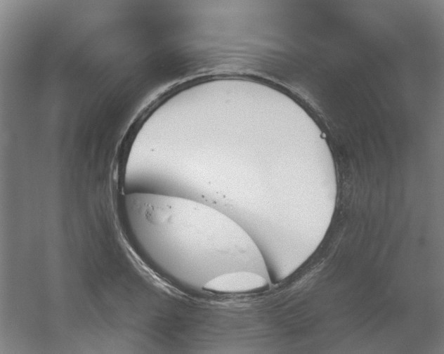 X0000054371126200508121533