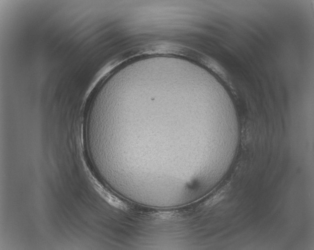 X0000054371130200508121533