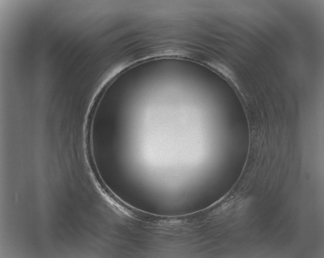 X0000054371135200508121533