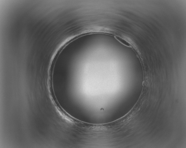 X0000054371136200508121533