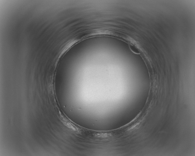 X0000054371137200508121533