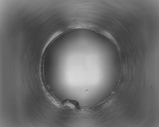 X0000054371138200508121533