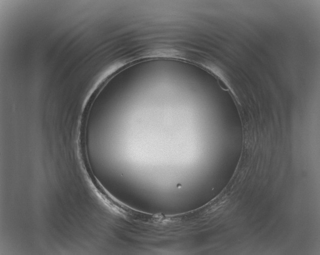 X0000054371139200508121533