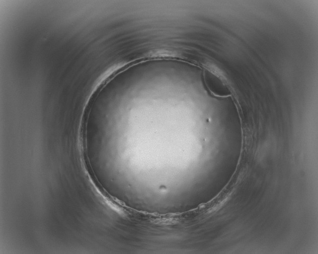 X0000054371141200508121533