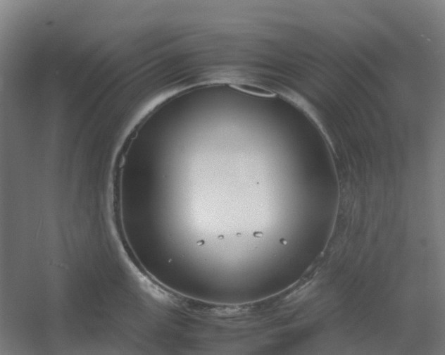 X0000054371147200508121533