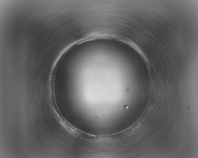 X0000054371148200508121533