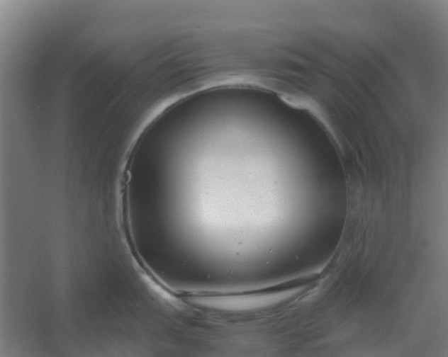 X0000054371151200508121533