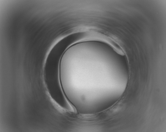 X0000054371152200508121533