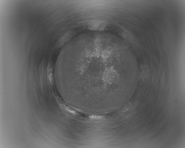 X0000054371154200508121533