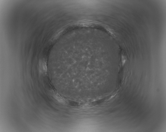 X0000054371155200508121533