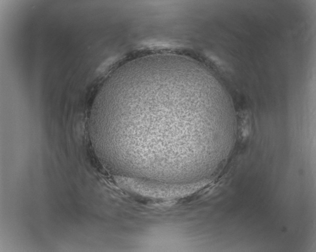 X0000054371157200508121533