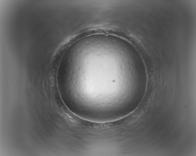 X0000054371159200508121533