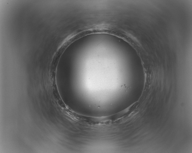 X0000054371160200508121533