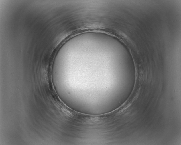 X0000054371162200508121532