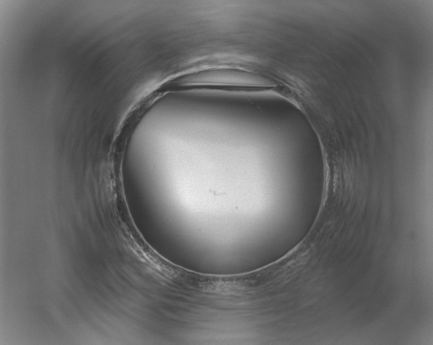 X0000054371164200508121532