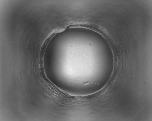 X0000054371165200508121532