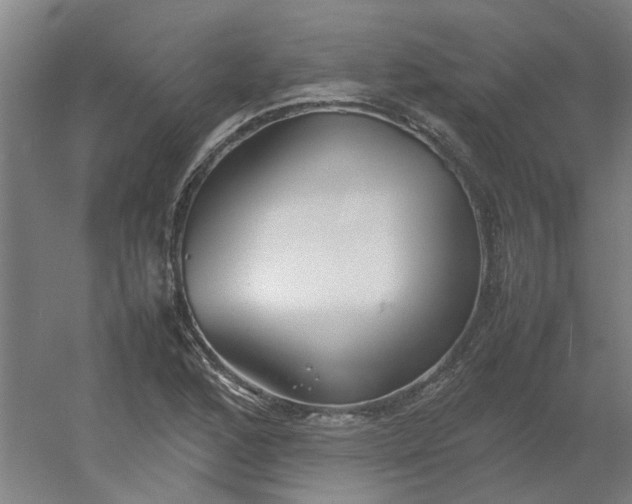 X0000054371168200508121532