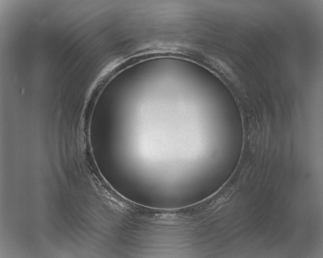 X0000054371172200508121532