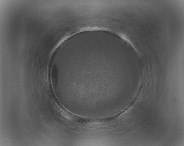 X0000054371173200508121532