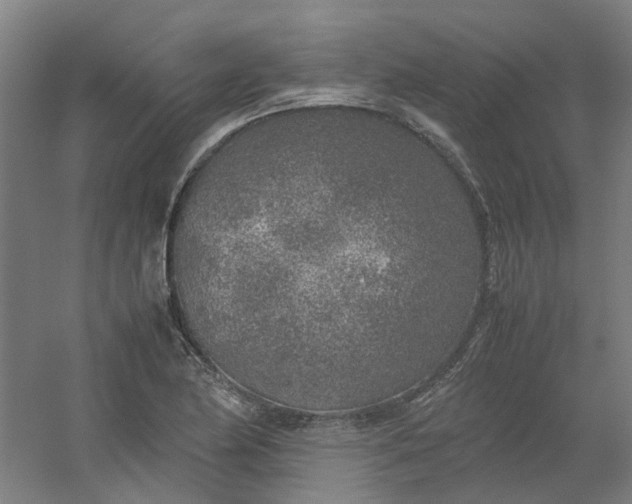 X0000054371174200508121532