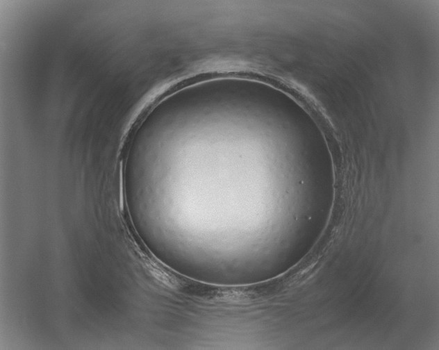 X0000054371175200508121532