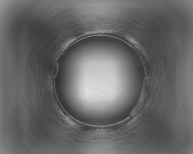 X0000054371177200508121532