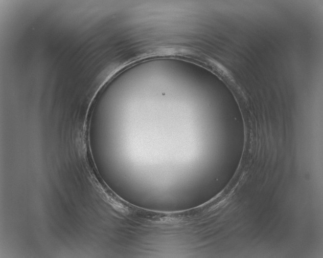 X0000054371178200508121532