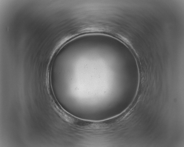 X0000054371179200508121532