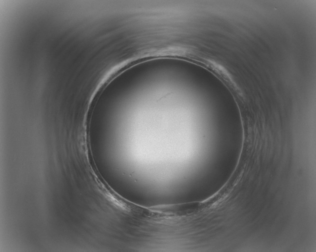 X0000054371184200508121532