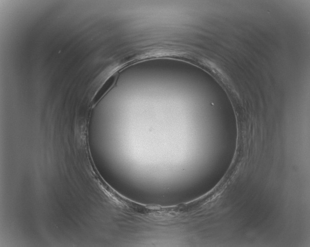 X0000054371185200508121532