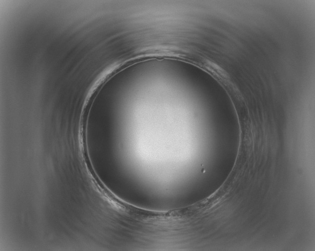 X0000054371188200508121532