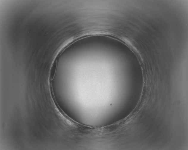 X0000054371189200508121532