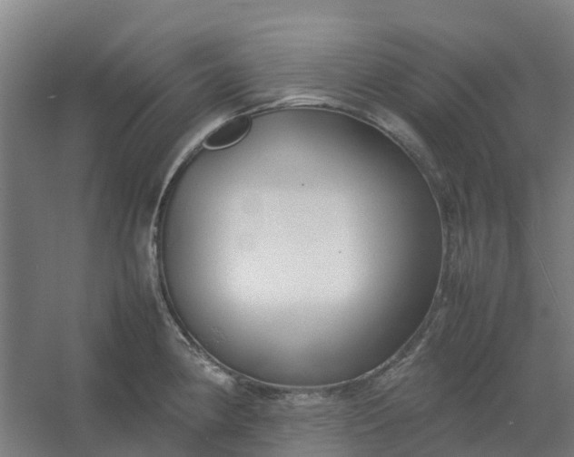 X0000054371190200508121532