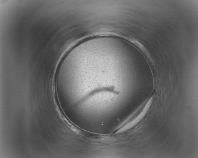 X0000054371191200508121532