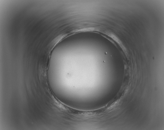 X0000054371193200508121532