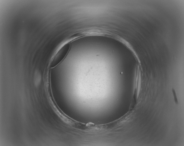 X0000054371195200508121532