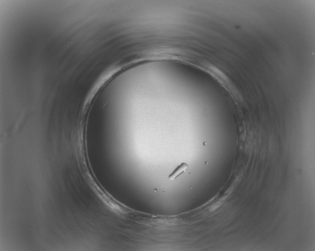 X0000054371196200508121532