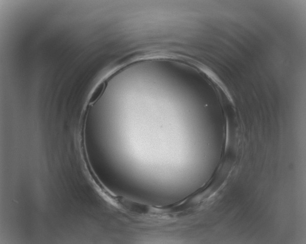 X0000054371197200508121532